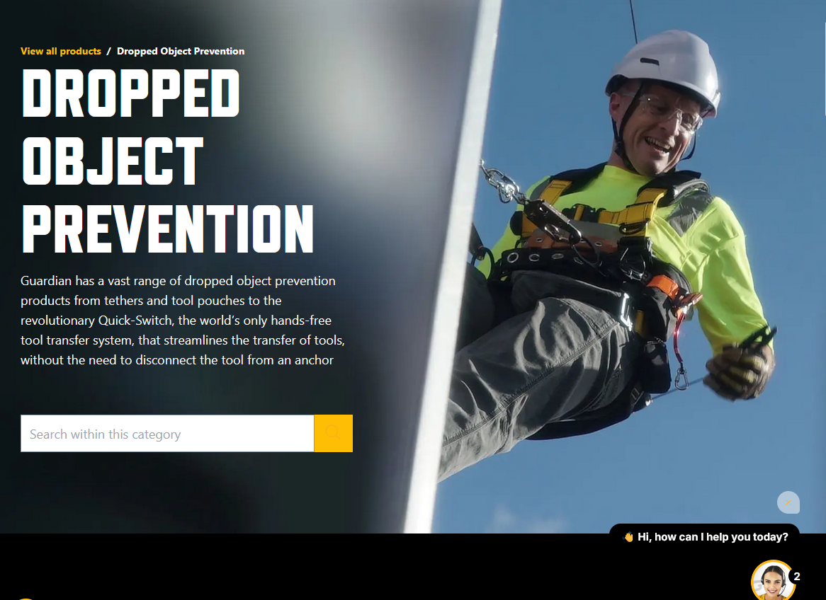 Guardian Dropped Object Prevention Overview